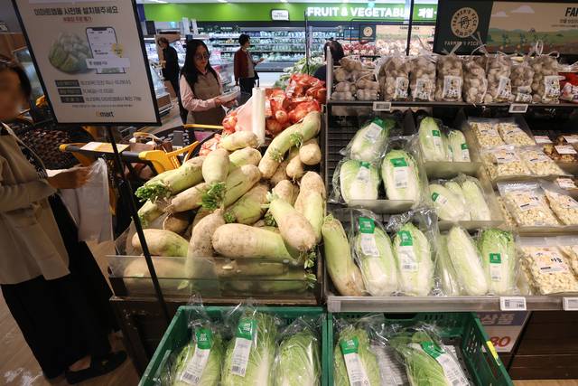 김장철을 앞둔 지난 23일 서울의 한 대형마트에 배추ㆍ무가 진열돼 있다. 연합뉴스