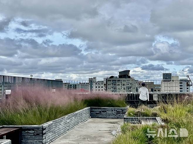 [제주=뉴시스] 제주지역 시민 정원사 등이 조성한 후 자발적으로 관리하고 있는 제주소통협력센터 옥상 정원. 제주시 원도심 풍경을 바꿀 수 있는 옥상 정원의 모델이라는 평가를 받고 있다. (사진=황아미 마을플랫폼 대표 제공) photo@newsis.com