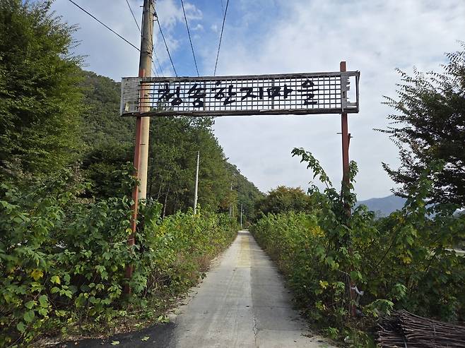 산불 피해로 인적이 드물어진 청송한지마을 입간판이 우거진 숲과 함께 철구조만 남아있다. /김종철기자