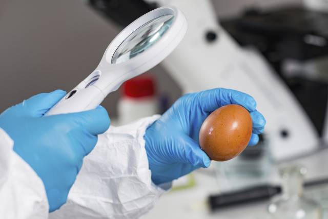 클립아트코리아