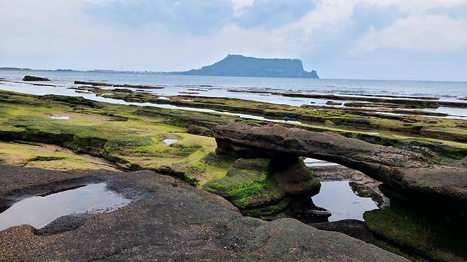 성산일출봉과 신양리층. 사진=제주자연의벗.