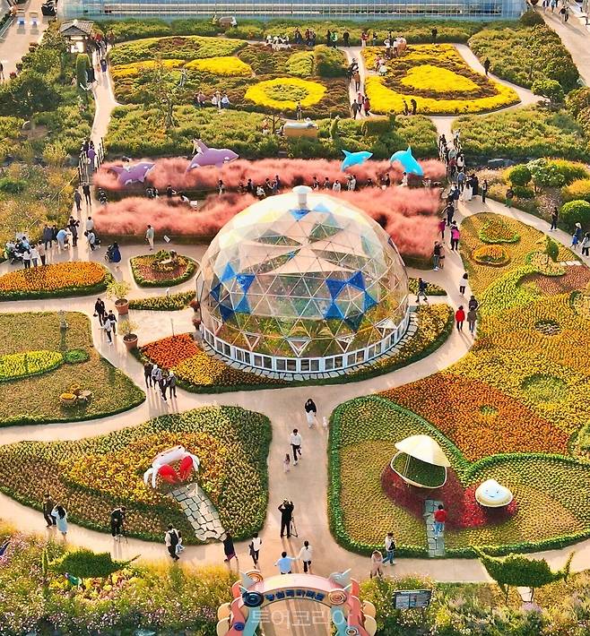 거제섬꽃축제 / 사진-거제농업기술센터