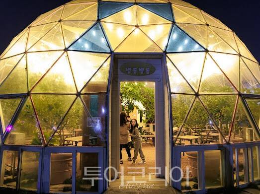 거제섬꽃축제 / 사진-거제농업기술센터