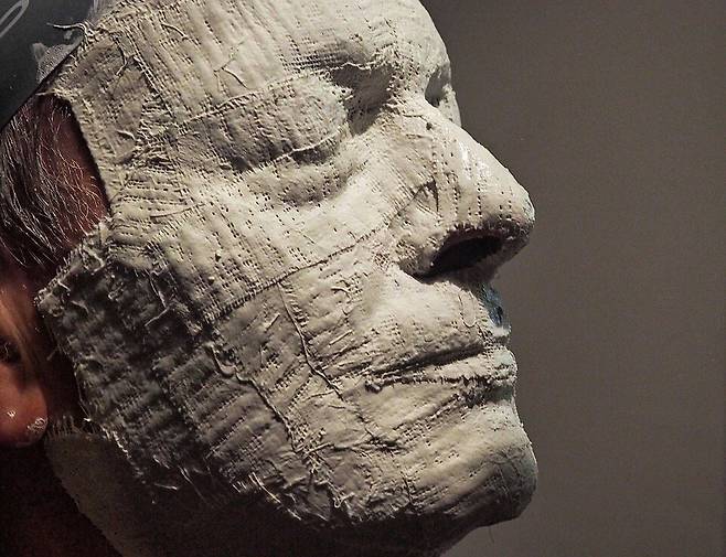 영국 작가 레슬리 하틀리의 소설 ‘얼굴의 정의’는 사람들의 얼굴을 획일적으로 성형해 아름다움의 차이를 없앤 독재 정권의 이야기를 풍자적으로 다룬 작품이다. 출처 위키미디어