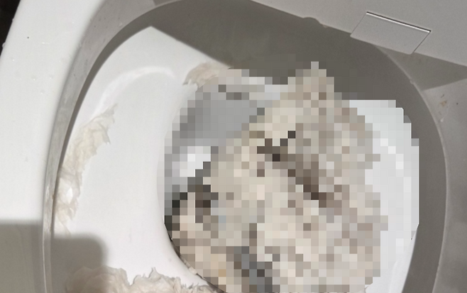 인천공항 노동자 파업때 막힌 화장실 변기. 독자 제공