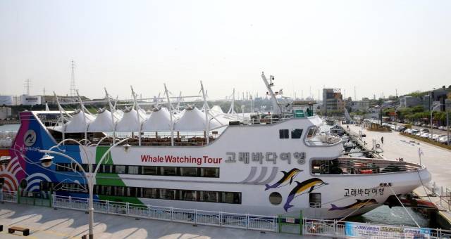 고래바다여행선 선착장 전경. 울산시 제공