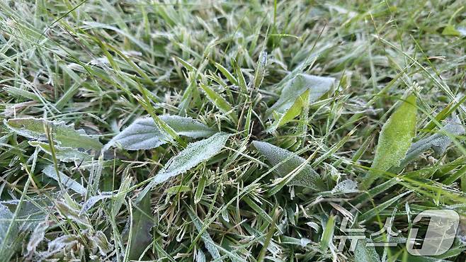 기상청은 28일 서울 종로구 송월동 서울기상관측소에서 첫얼음, 첫서리가 관측되었다고 밝혔다. (기상청 제공. 재판매 및 DB 금지) 2025.10.28/뉴스1