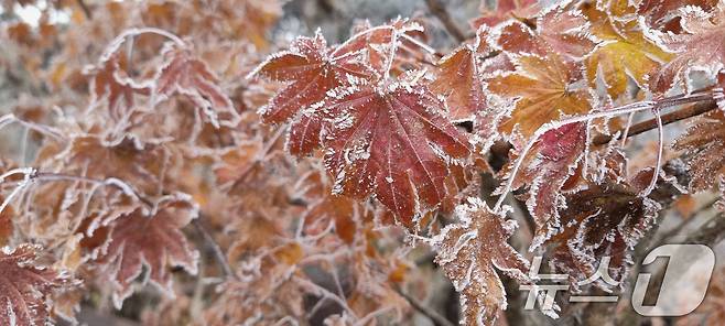 국립공원공단 덕유산국립공원사무소는 향적봉에 금년도 첫 상고대가 관측됐다고 27일 밝혔다. (덕유산국립공원사무소 제공. 재판매 및 DB 금지) 2025.10.27/뉴스1