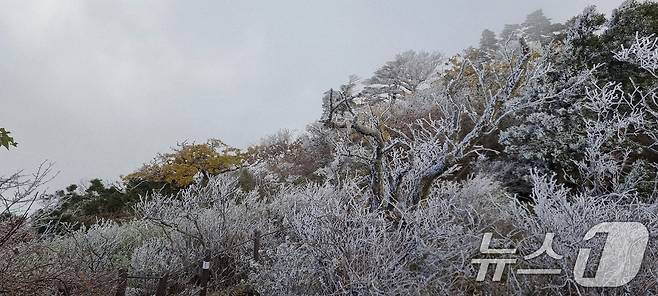 국립공원공단 덕유산국립공원사무소는 향적봉에 금년도 첫 상고대가 관측됐다고 27일 밝혔다. (덕유산국립공원사무소 제공. 재판매 및 DB 금지) 2025.10.27/뉴스1