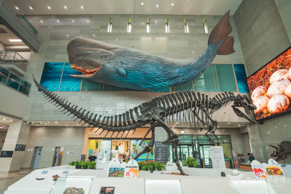 서대문자연사박물관 /사진제공-한국관광공사