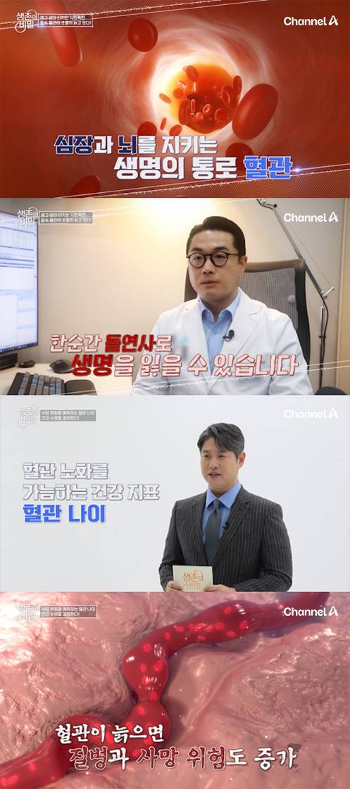 ‘생존의 비밀’ 혈관 노화 벗어나는 비법 (제공: 채널A)