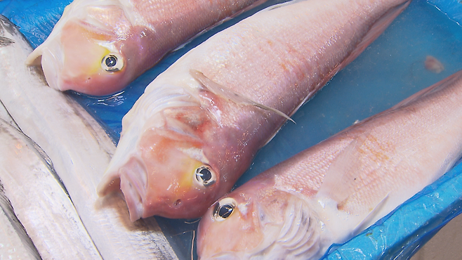 사진은 기사 내용과 관련 없음