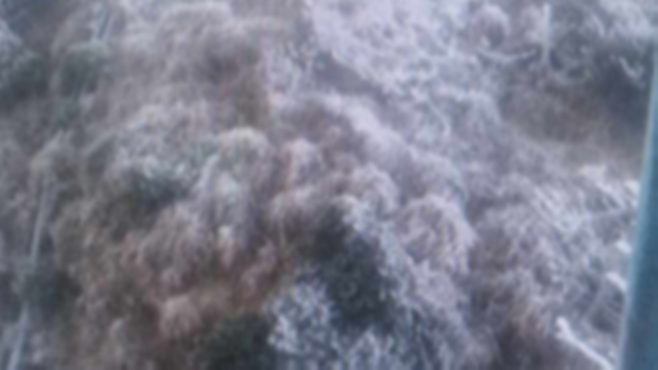 오늘(28일) 오전 한라산에서 관측된 상고대 (한라산국립공원관리소 제공)