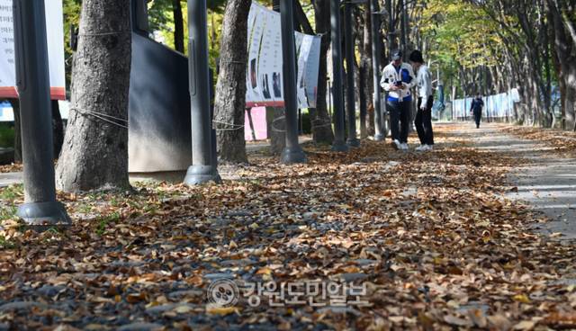 ▲ 쌀쌀한 가을 날씨를 보인 지난 22일 강원 춘천시 의암공원에서 시민들이 낙엽이 쌓인 산책로를 걷고 있다. 방도겸 기자