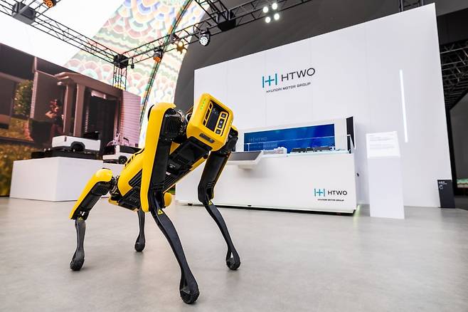 경주엑스포대공원 에어돔 ‘현대자동차그룹관’ 내를 자유롭게 활보하고 있는 보스턴다이나믹스의 4족 보행 로봇 ‘스팟(SPOT)’.   /현대차 제공