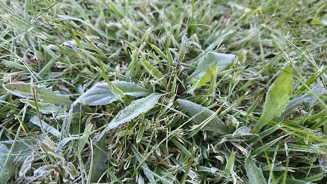 The Korea Meteorological Administration said on Oct. 28 that Seoul recorded its first frost and ice of the season at the Seoul Meteorological Observatory in Songwol-dong, Jongno District. [KMA]
