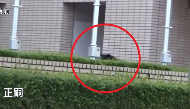 [ANN 뉴스 캡처]