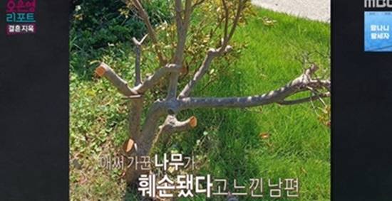 MBC '오은영 리포트-결혼 지옥'