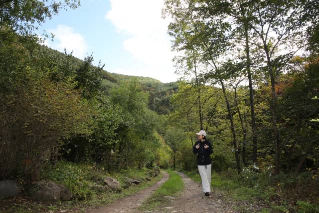 덕산기 계곡은 정선읍 덕우리에서 화암면 북동리를 잇는 약 12㎞의 물길이다. 계곡 옆으로 고즈넉한 숲길을 만날 수 있다. 김도훈 기자