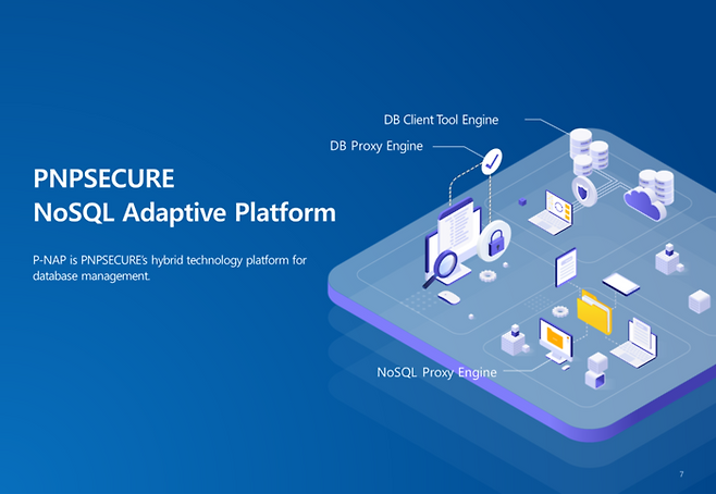'P-NAP(PNPSECURE NoSQL Adaptive Platform)' 개념도