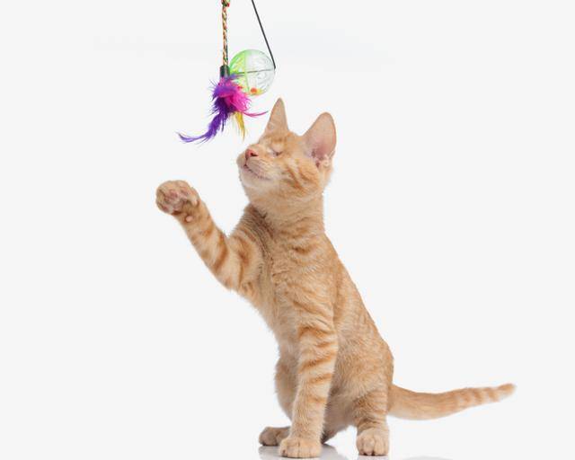 게티이미지뱅크