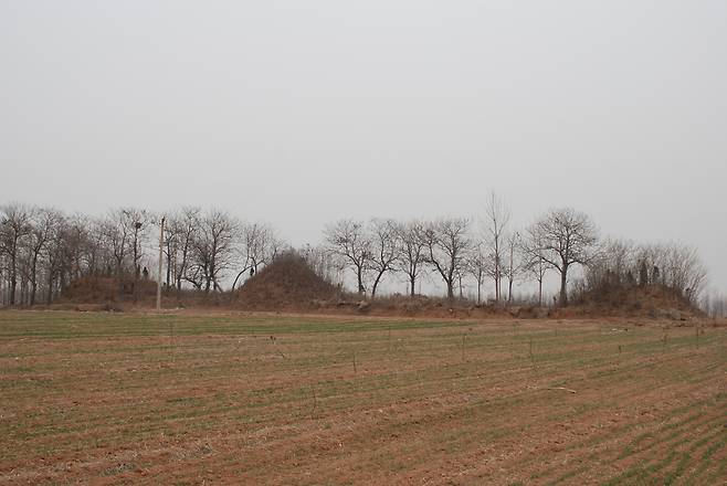 또 다른 각도에서 찍은 천남생 일가 무덤.  무덤이 자리잡은 땅의 상당부분을 깎아 농경지로 이용되었다. 언제 사라질지 모르는 상황이다.|권덕영 부산 외국어대교수 제공