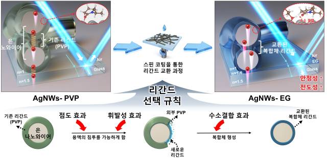 스핀 코딩을 이용한 은 나노 와이어 표면 교환 과정 모식도. 연구그림=UNIST