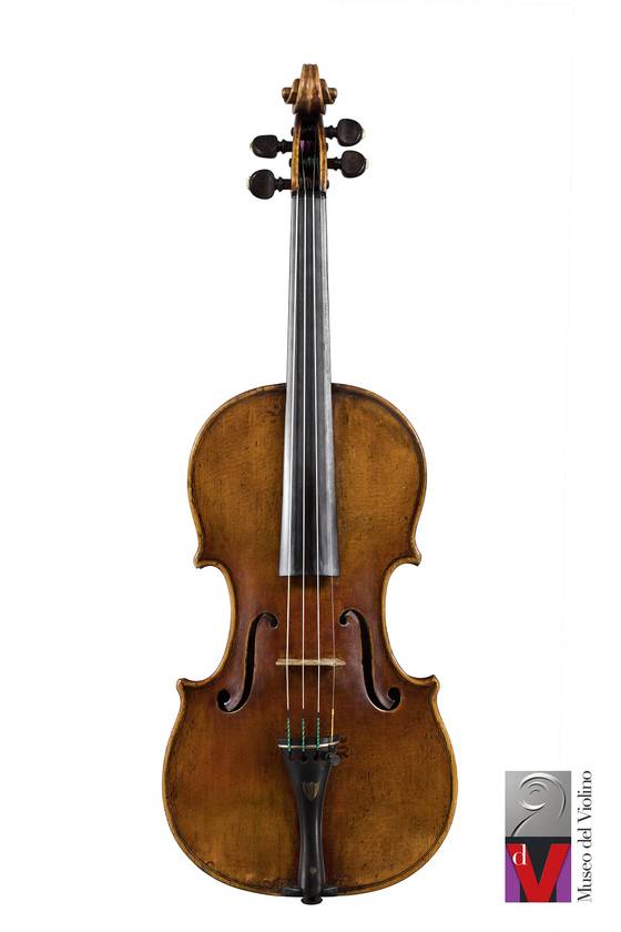 베수비오 바이올린. 사진 크레모나 바이올린 박물관