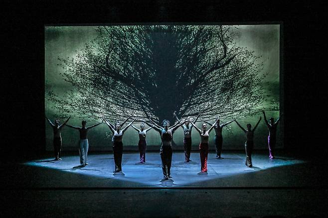 허용순의 ‘Under The Trees’ Voices‘의 공연 모습.     세종문화회관 제공