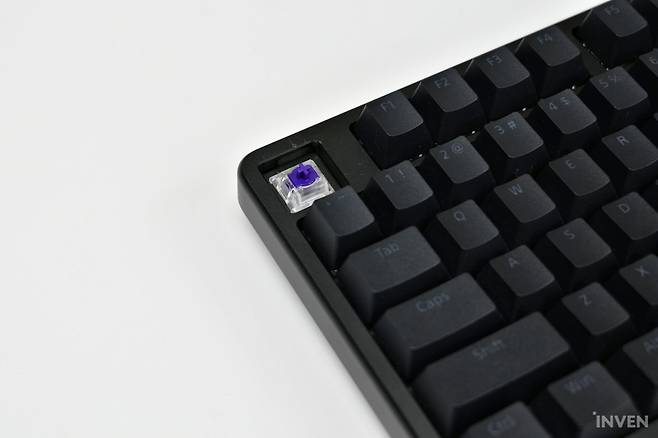 ▲ 게이트론 사의 커스텀 스위치