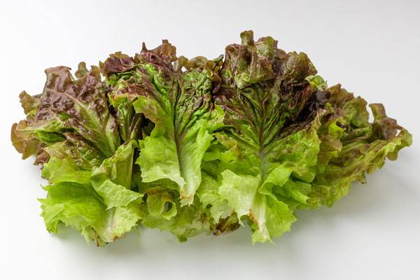 클립아트코리아