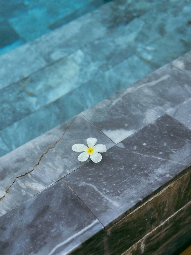 트윈팜스 몬타주르 푸껫 리조트 수영장 / 사진=권효정 여행+ 기자