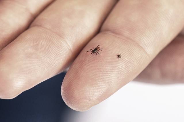 해당 사진은 기사와 무관함. 클립아트코리아