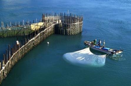 남해 지족해협 죽방렴어업. 바다의 물살을 따라 참나무와 대나무로 만든 어살을 V자 형태로 설치해 물고기의 이동 경로를 유도하고, 밀물과 썰물의 차이를 이용해 멸치 등을 잡는 어업이다. 남해군청 홈페이지