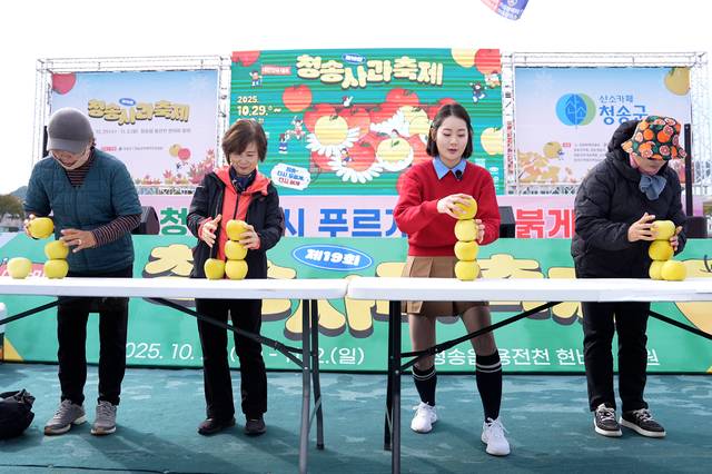 청송사과축제 사과올림픽 3종경기 사과쌓기 게임 장면. 청송군 제공