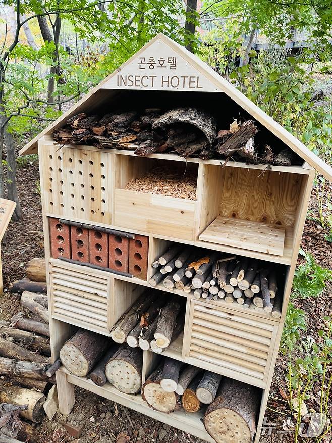 나무와 지푸라기로 꾸민 '곤충호텔'. 곤충이 머물 수 있도록 조성한 생태 공간이다. 2025.10.31/뉴스1 ⓒ News1 한지명 기자