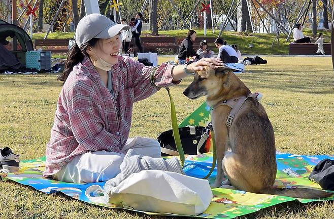 지난 1일 대전 서구 도안동 갑천생태호수공원을 찾은 한 시민이 반려견과 함께 잔디밭에서 휴일을 즐기고 있다. /신현종 기자