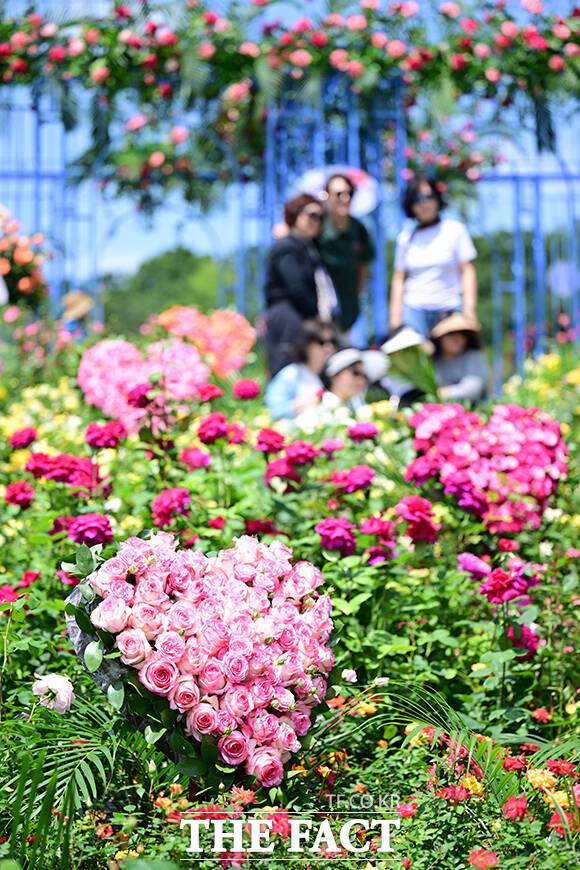 2025 서울국제정원박람회 개막 첫 날인 5월 22일 오후 서울 동작구 보라매공원에서 시민들이 기념사진을 찍고 있다./남윤호 기자