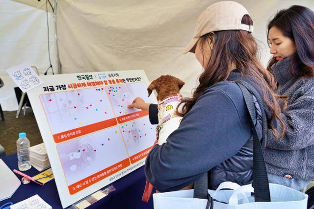 지난 18일 서울 반포한강공원에서 열린 '제2회 동물행복페스타'에 참가한 시민이 동그람이 부스에서 설문조사에 응하고 있다. 동그람이 정진욱