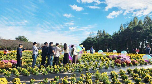 수도권매립장 내 '드림파크 야생화단지'에 나들이 나온 시민들 모습.