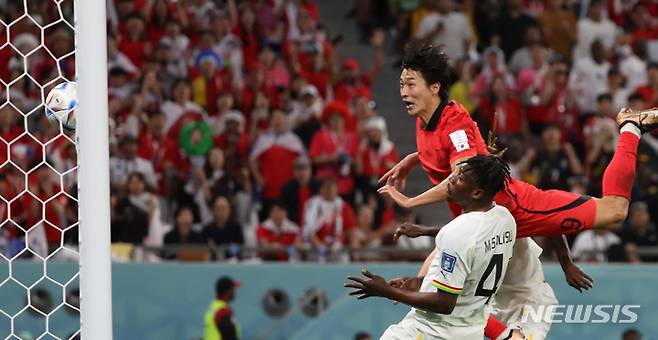 [알라이얀(카타르)=뉴시스] 조성우 기자 = 28일(현지시간) 카타르 알라이얀 에듀케이션 시티 스타디움에서 열린 2022 카타르 월드컵 H조 2차전 대한민국과 가나의 경기, 조규성이 추격골을 넣고 있다.  2022.11.28. xconfind@newsis.com