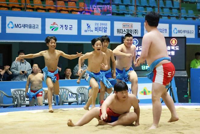 경상남도 거창군 거창스포츠파크실내체육관에서 열린 '제17회 전국어린이씨름왕대회' 단체전에서 우승을 차지한 경상남도A 팀이 (도동초, 북성초, 고성초, 교방초, 신어초)우승을 확정한 후 함께 기뻐하고 있다. /사진=대한씨름협회 제공