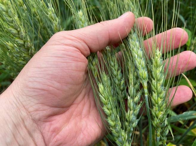 로이터연합뉴스