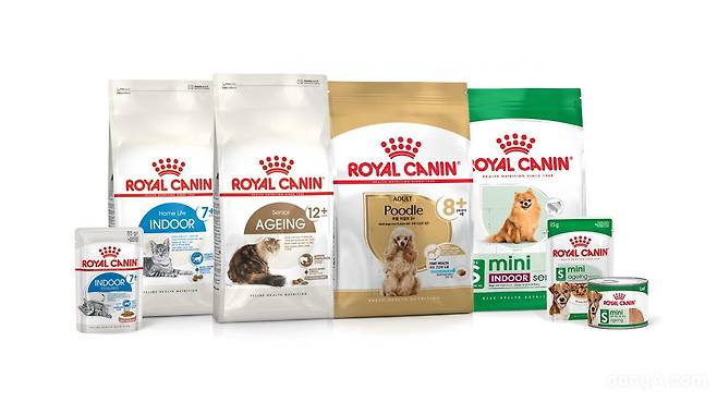 로얄캐닌 반려동물 노화 관련 맞춤 영양 제품