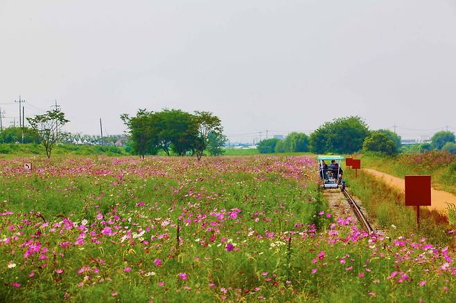 진위천 유원지. 사진=한국관광공사 포토코리아-IR 스튜디오