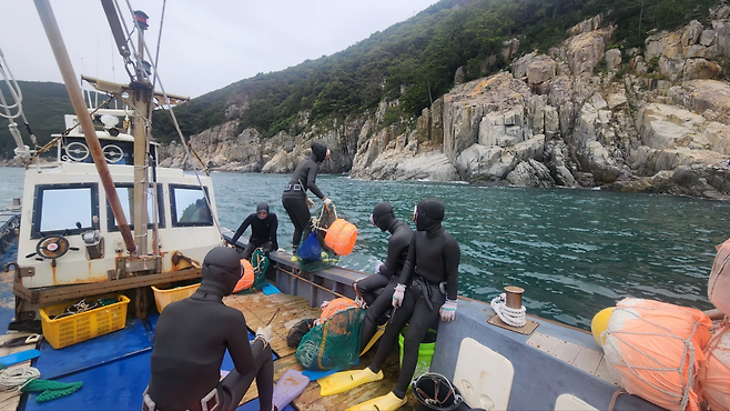 경남 거제에서 해녀들이 지난달 28일 돌멍게와 뿔소라 등을 채취하기 위해 물질할 곳을 살펴본 뒤 바다로 뛰어들고 있다.  이성희 기자