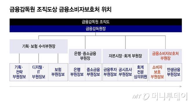 금융감독원 조직도상 금융소비자보호처 위치/그래픽=윤선정