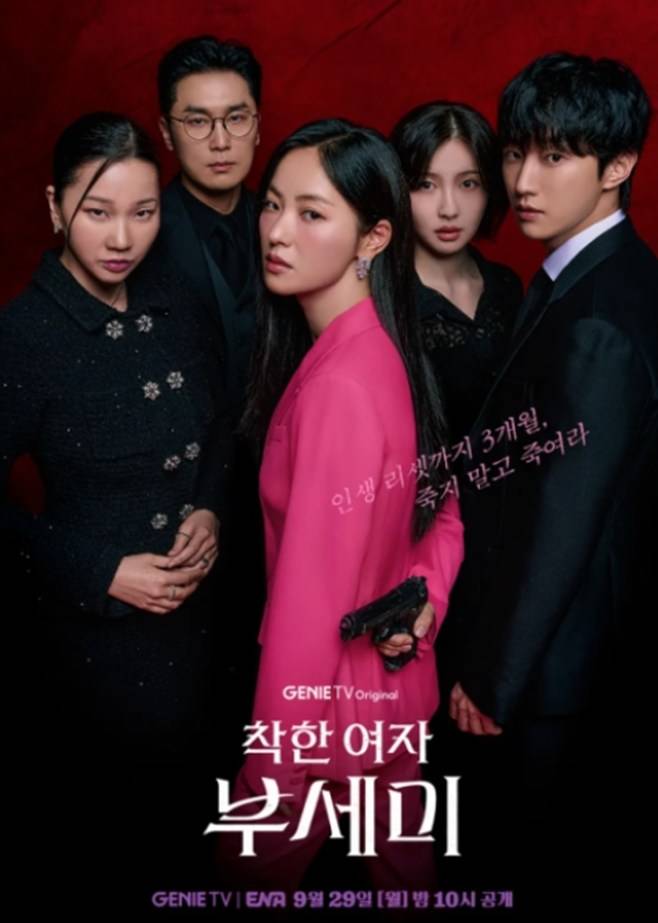 티브이데일리 포토