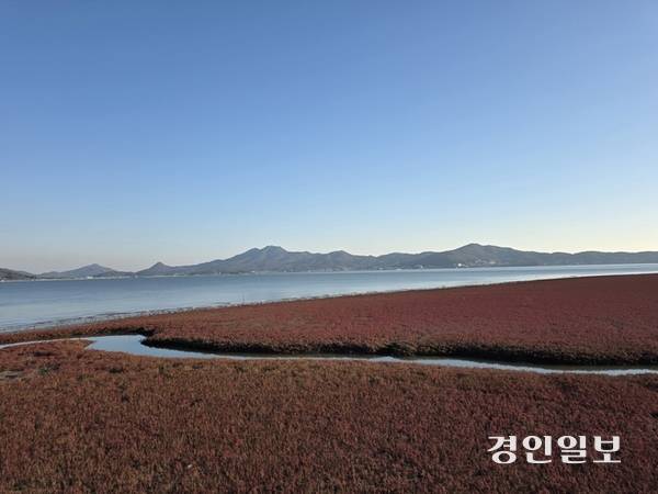 강화 석모도 칠면초(나문재) 군락지의 붉게 물든 모습이 바다와 하늘과 묘한 대조를 이룬다. 2025.11.4 /정진오기자 schild@kyeongin.com