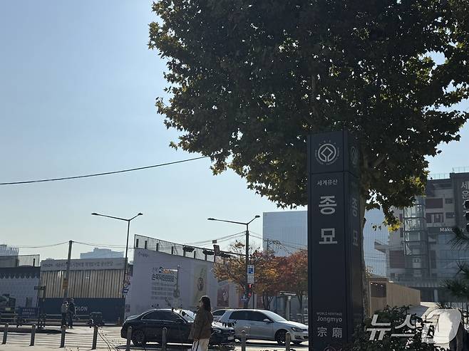 4일 세운상가 맞은편 종묘에서 바라본 세운4구역 재개발 지구 공사현장의 모습 . 2025.11.04 / 뉴스1 ⓒ News1 윤주현 기자